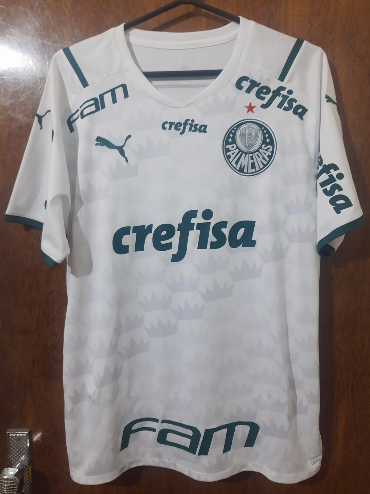 Camisas Preparadas Palmeiras 2021/22