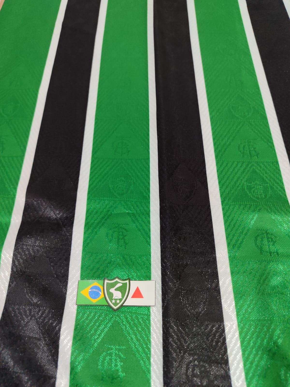 Camisa Masculina Jogo 3 2023 América Mineiro Preto e Verde Volt 3