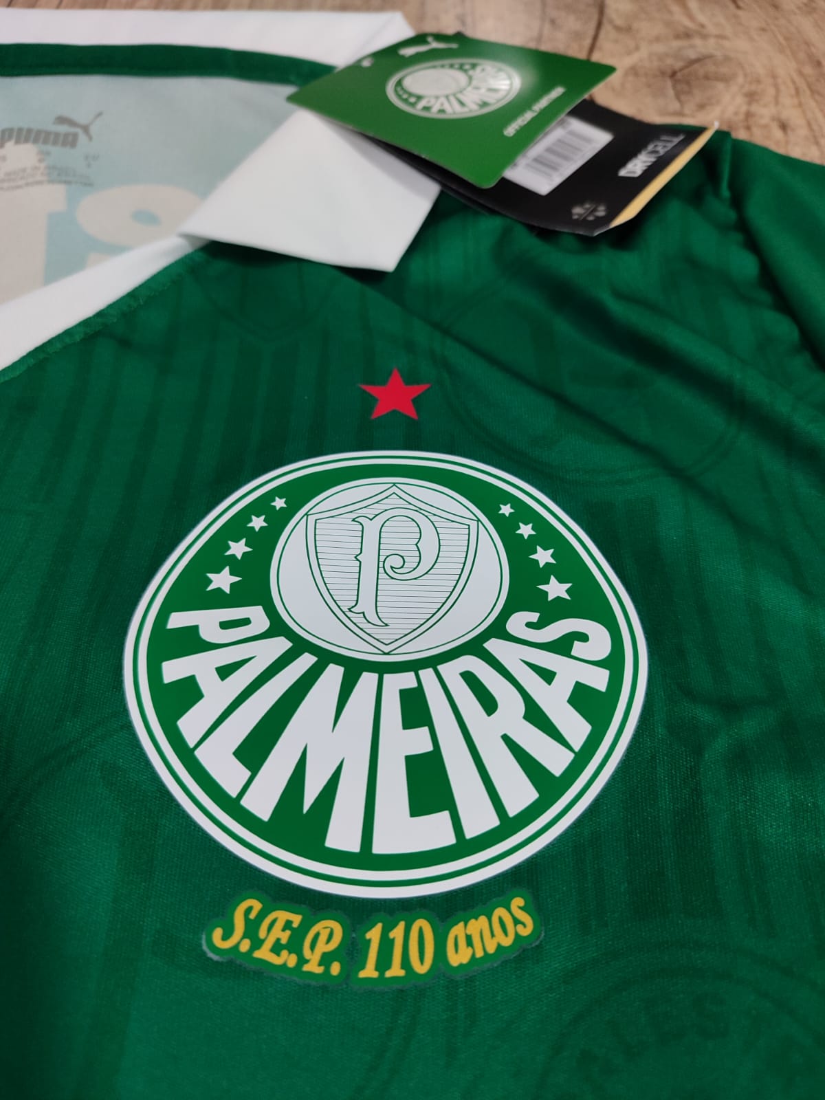 Camisa Palmeiras Puma I 24/25 Estádio