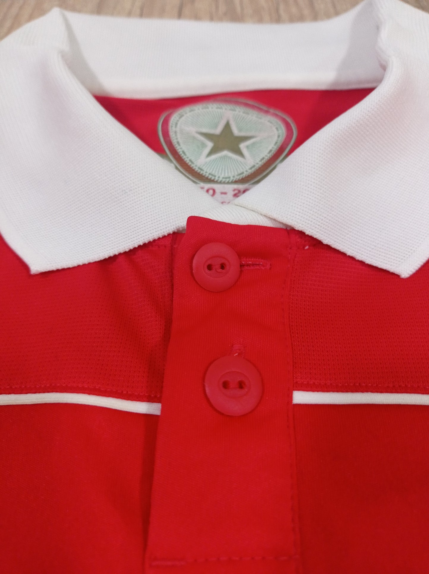 Camisa de Jogo do Benfica - Home - 2010/2011 - Portugal