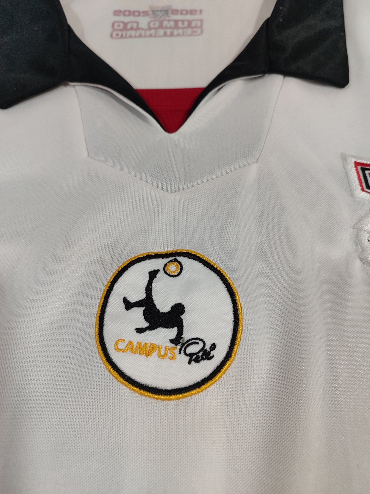 Rare - Paulista from Jundiaí - Puma - Long Sleeves - Painted Details