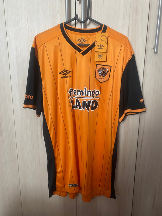 Hull City 2016