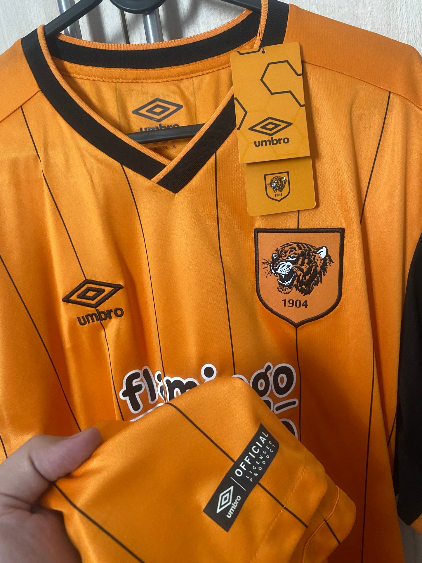 Hull City 2016