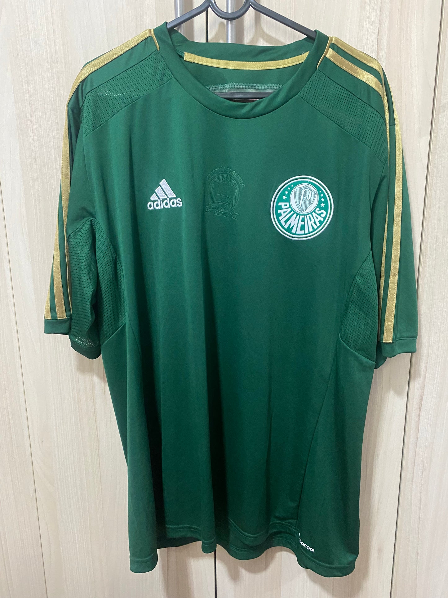 Palmeiras Home Centenario 2014 GG 58x78