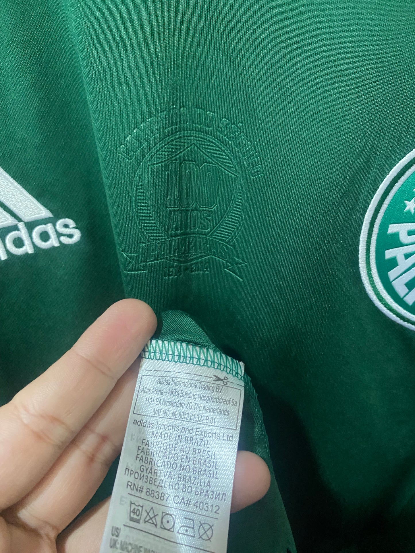 Palmeiras Home Centenario 2014 GG 58x78