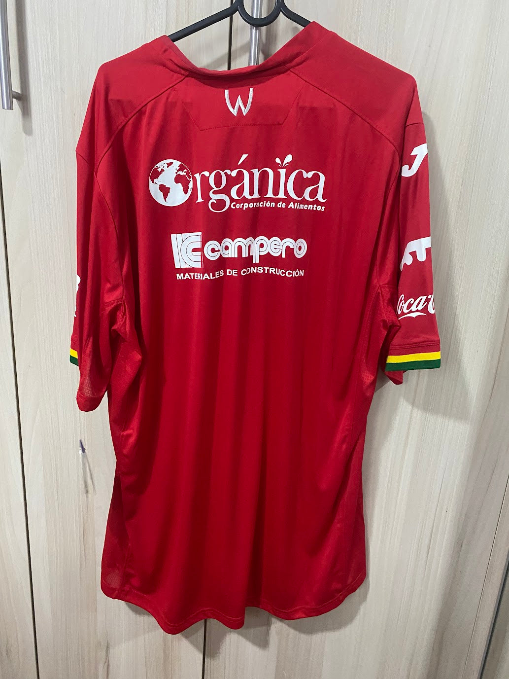 Camisa Jorge Wilstermann Home 2018 (Tamanho XL - 58x79 cm)