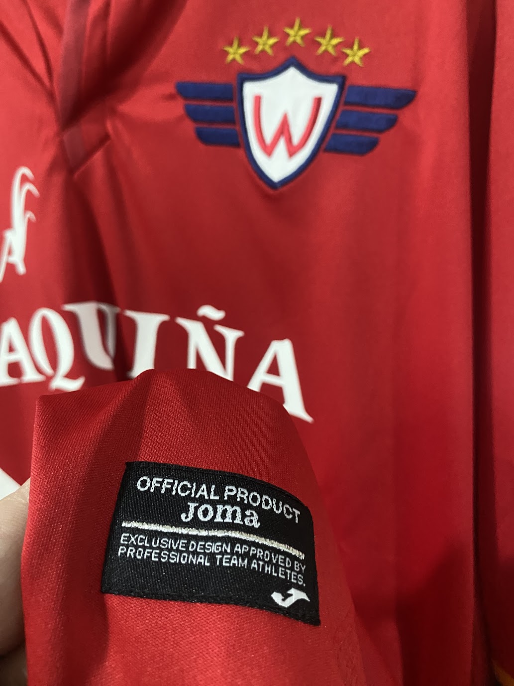 Camisa Jorge Wilstermann Home 2018 (Tamanho XL - 58x79 cm)