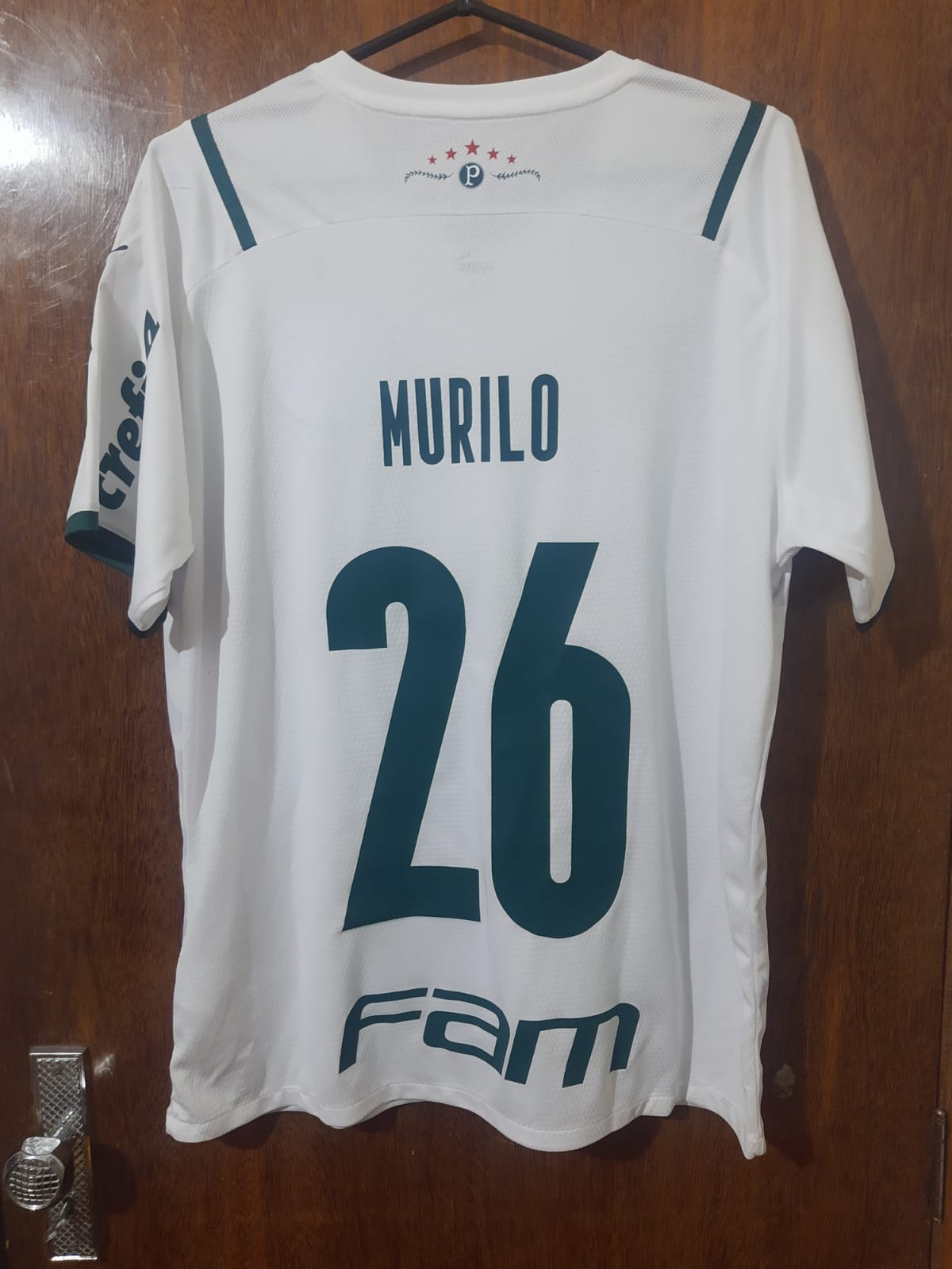 Camisas Preparadas Palmeiras 2021/22