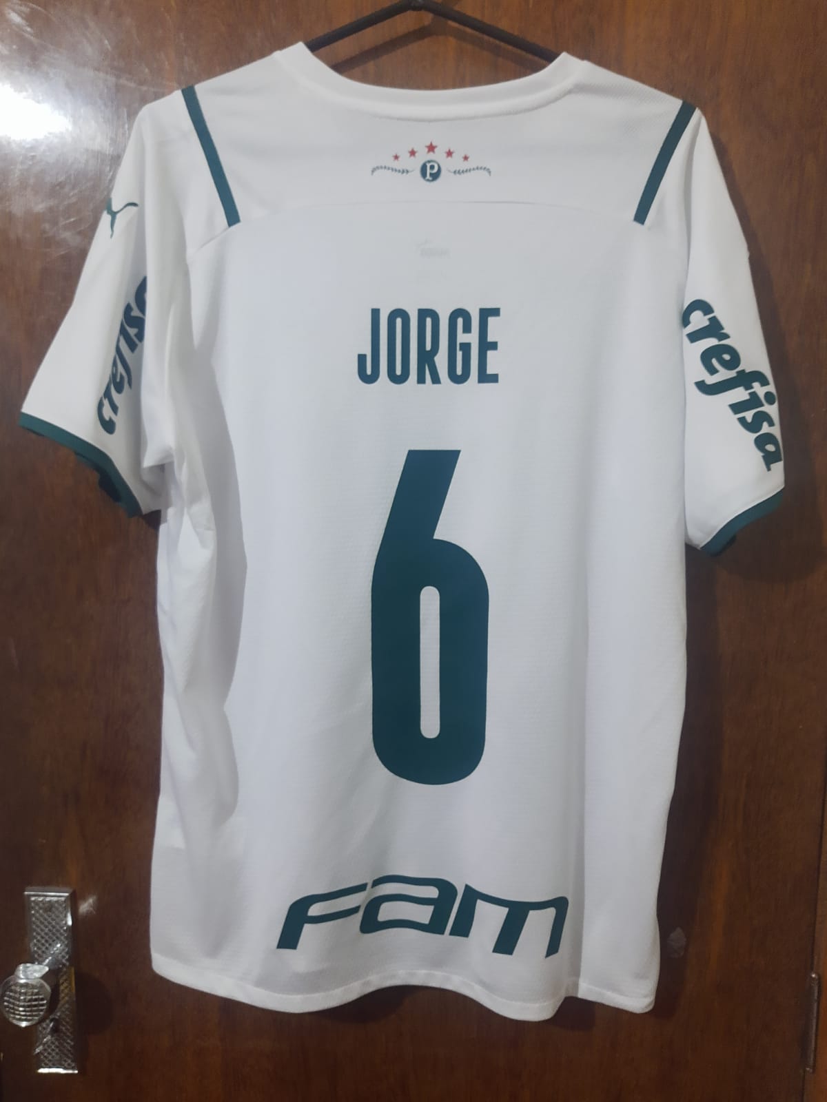 Camisas Preparadas Palmeiras 2021/22