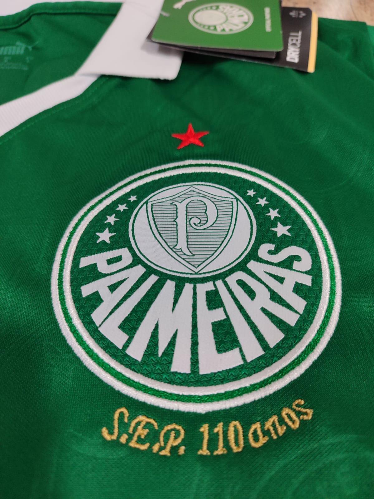 Camisa Palmeiras 1 HOME Torcedor 24/25 - somente M