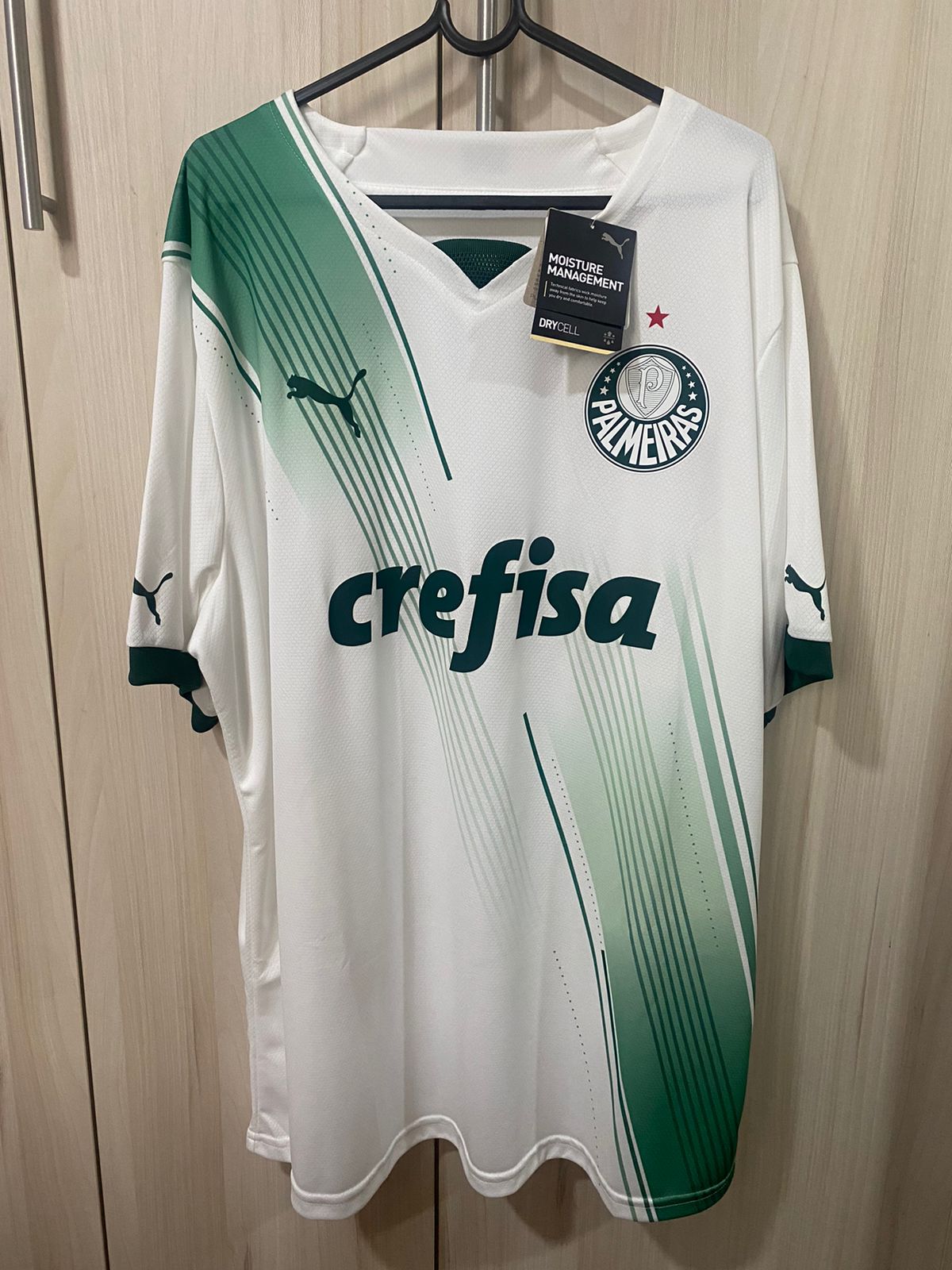 Camisa Palmeiras Home 2023 - Tamanho XXL (62x79 cm)