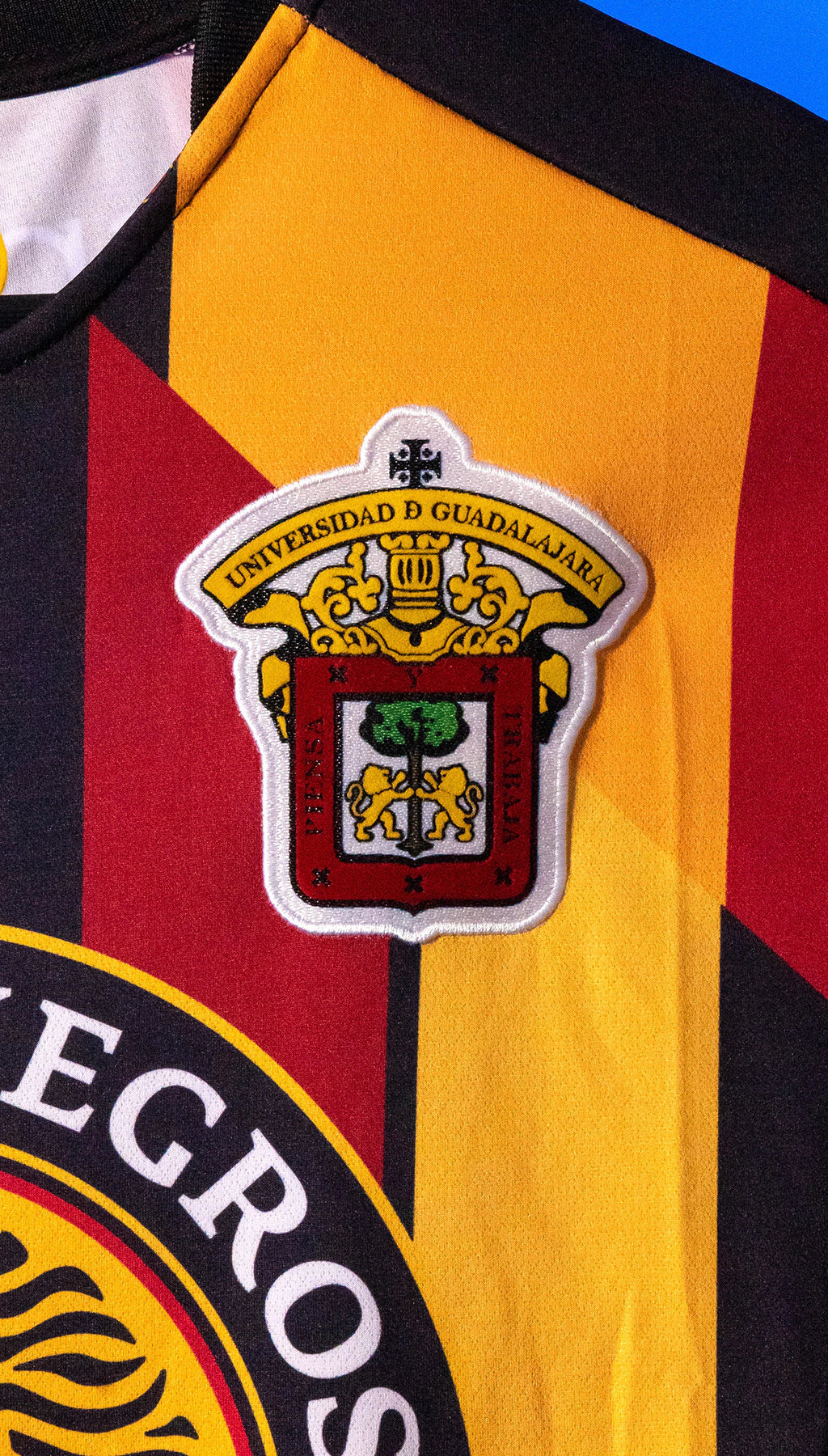 Leones Negros Local 2024-2025 G Mexico